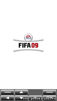 FIFA 09 (футбол)